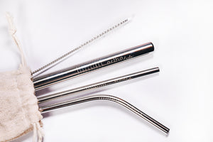Stainless Steel Reusable Straw Set (Silver)