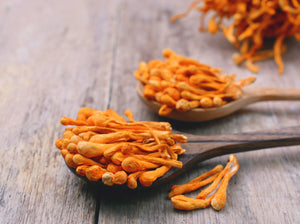 Cordyceps Extract Powder for Strength and Endurance