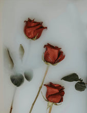 Load image into Gallery viewer, Medicina de Rosa – Rose Ritual Cleanser