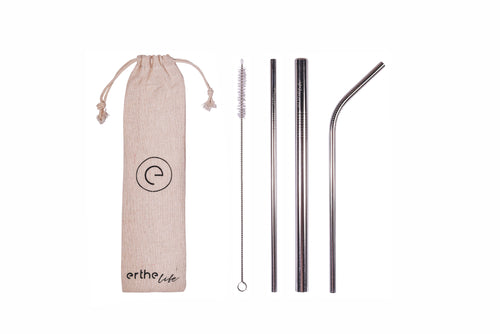 Stainless Steel Reusable Straw Set (Silver)